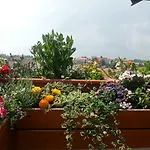 Antik Sofia
