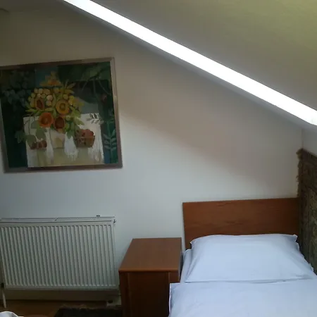 Hotel Antik & Galerie Sofia 3*
