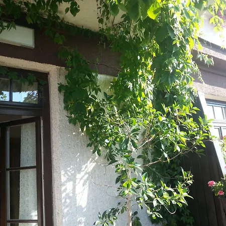 Antik & Galerie Sofia Hotel Litomyšl