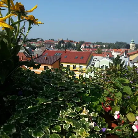Antik Sofia Hotel Litomysl
