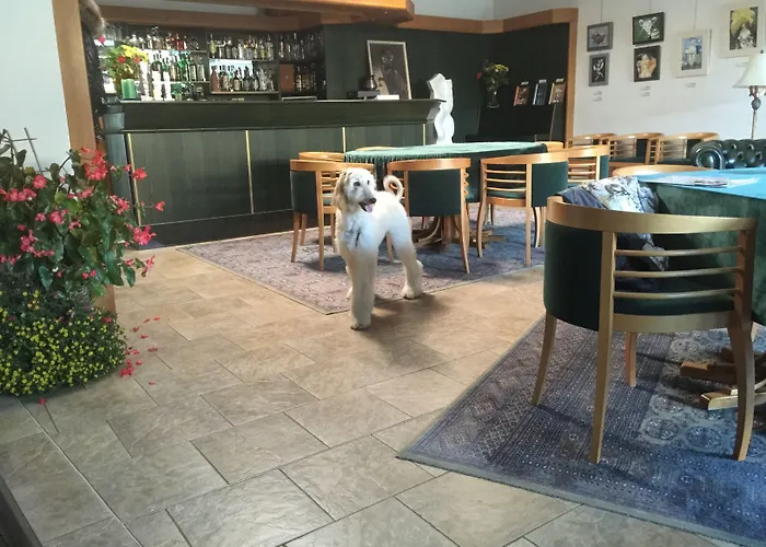 安提科索菲亚酒店 利托米什尔